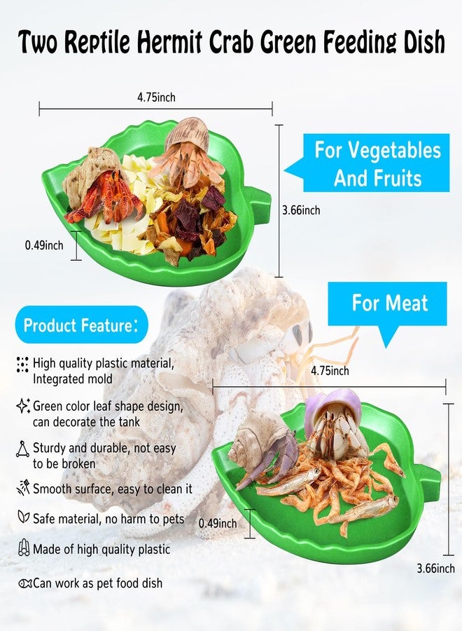 NestBasics 7 Pack Hermit Crab Pool Hermit Crab Water Bowl Dish Hermit Crab Food Bowl Dish Hermit Crab Accessories Starter Kits - Image 4
